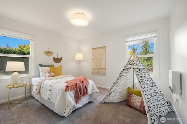 13247 2nd Ave NW, Seattle, WA 98177 - bedroom with carpet and heating unit