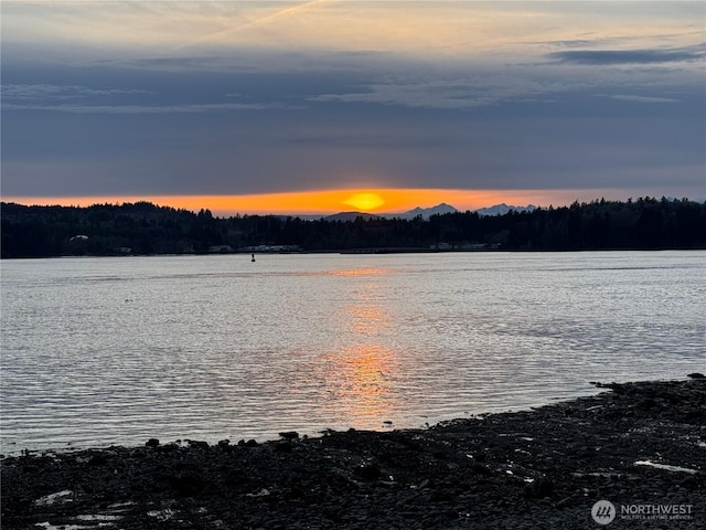 9551 NE S Beach Dr Unit 3G, Bainbridge Island, WA 98110 - photo 4
