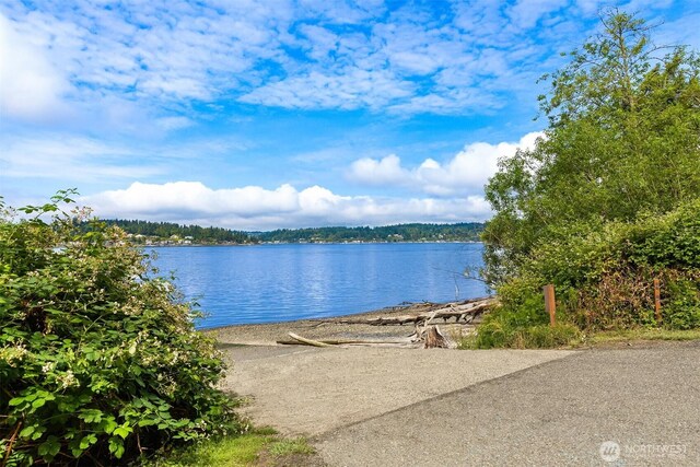 9551 NE S Beach Dr Unit 3G, Bainbridge Island, WA 98110 - photo 22