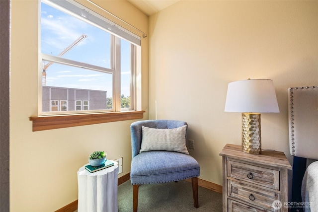 827 Hiawatha Pl S Unit 515, Seattle, WA 98144 - living area with carpet flooring and baseboards