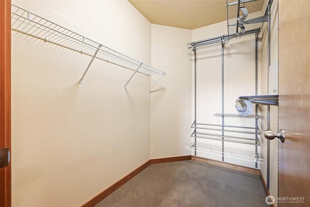827 Hiawatha Pl S Unit 515, Seattle, WA 98144 - spacious closet featuring carpet