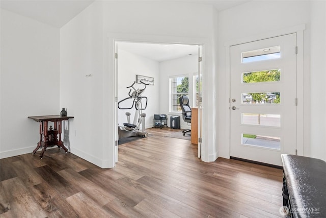 8665 Kimmie Loop SW, Tumwater, WA 98512 - entrance foyer with dark wood-style flooring