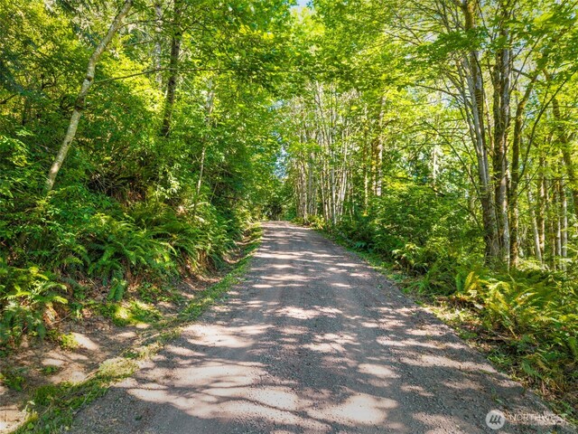 2397 Center Rd, Chimacum, WA 98325 - photo 4