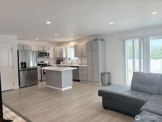 1344 Theo Way, Rock Island, WA 98850 - kitchen featuring stainless steel appliances, gray cabinets, open floor plan, healthy amount of natural light, and recessed lighting