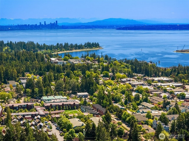228 Canopy Path NW, Bainbridge Island, WA 98110 - drone / aerial view of a water and mountain view