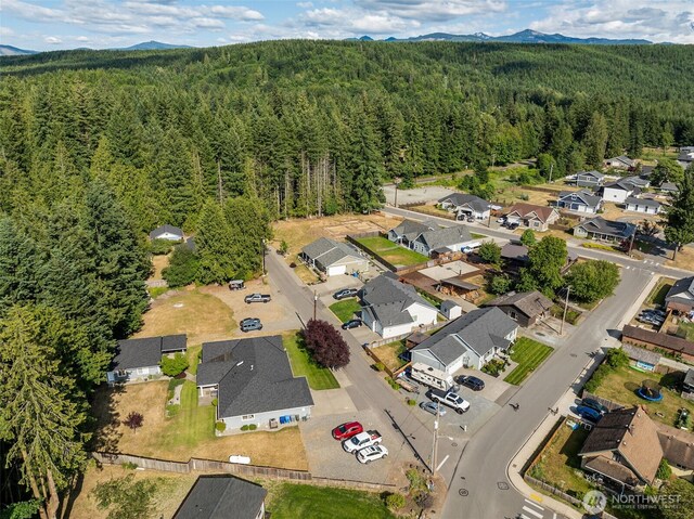 381 Coal Ave, Carbonado, WA 98323 - photo 36