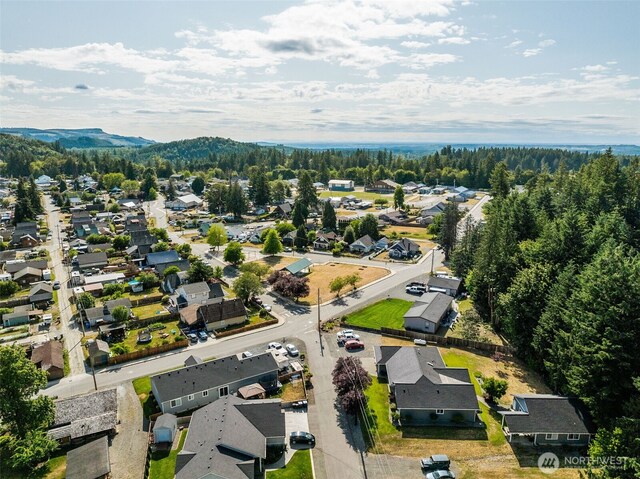 381 Coal Ave, Carbonado, WA 98323 - photo 40