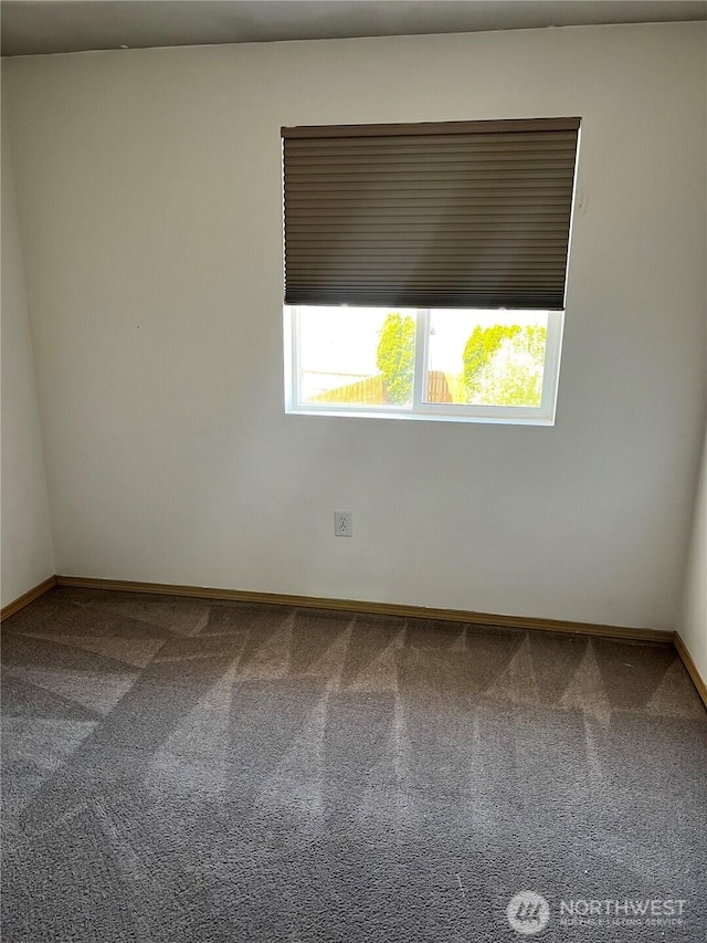 1042 S Lakeland Dr, Moses Lake, WA 98837 - empty room featuring carpet and baseboards