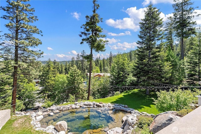 6730 Forest Ridge Dr, Wenatchee, WA 98801 - view of grassy yard with a wooded view