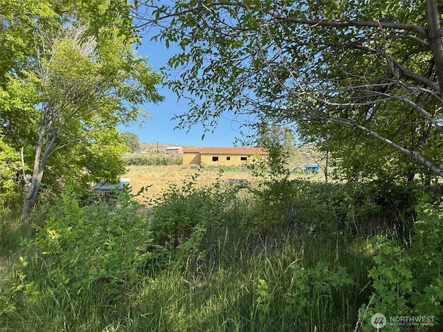 30 Chambers Rd, Brewster, WA 98812 - view of nature