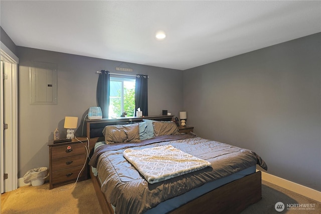373 Adams Ave, Morton, WA 98356 - bedroom featuring electric panel, light carpet, and recessed lighting