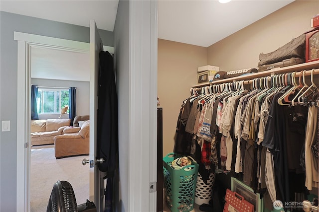 373 Adams Ave, Morton, WA 98356 - spacious closet with carpet floors