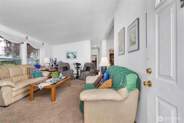 523 N 7th Ave, Sequim, WA 98382 - living area featuring carpet floors