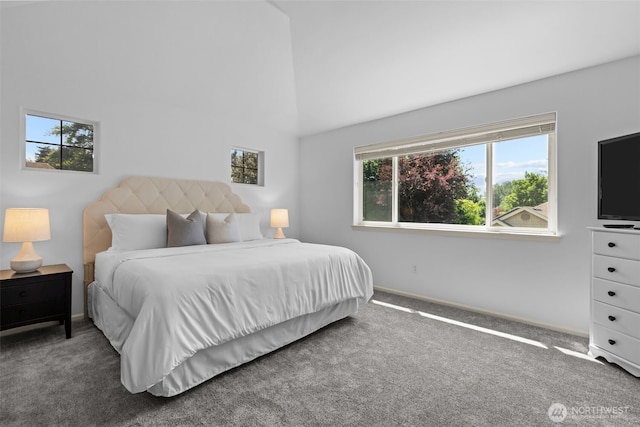 8122 NE 189th Pl, Kenmore, WA 98028 - carpeted bedroom with multiple windows and high vaulted ceiling