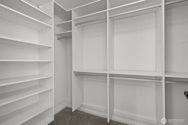 8122 NE 189th Pl, Kenmore, WA 98028 - spacious closet featuring carpet floors
