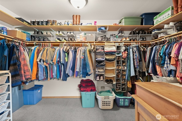 25901 NE 412th Cir, Amboy, WA 98601 - spacious closet with carpet flooring