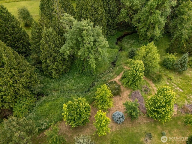 25901 NE 412th Cir, Amboy, WA 98601 - aerial view
