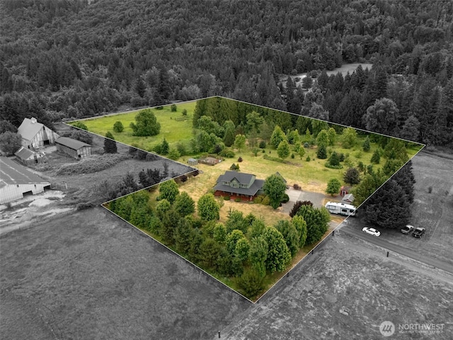 25901 NE 412th Cir, Amboy, WA 98601 - view from above of property featuring a forest and property boundaries highlighted