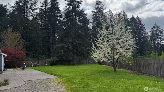 2218 143rd Street Ct S, Spanaway, WA 98387 - photo 28