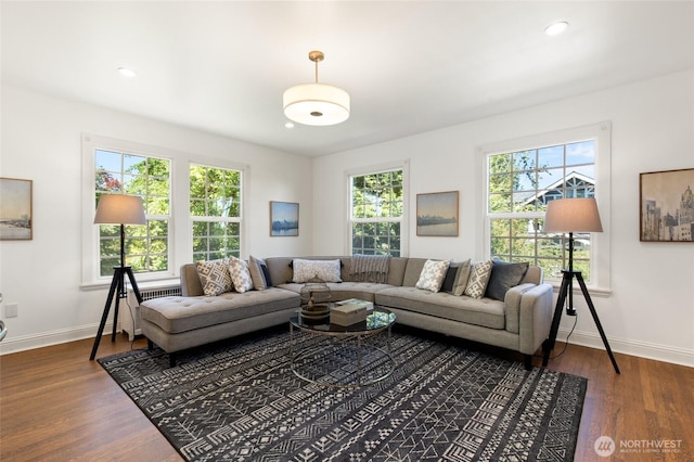 817 E Shelby St, Seattle, WA 98102 - living area featuring healthy amount of natural light, dark wood finished floors, and recessed lighting