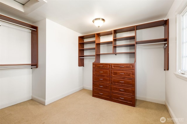 817 E Shelby St, Seattle, WA 98102 - spacious closet featuring light carpet