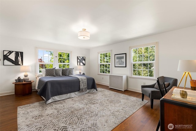 817 E Shelby St, Seattle, WA 98102 - bedroom featuring radiator and dark wood-type flooring