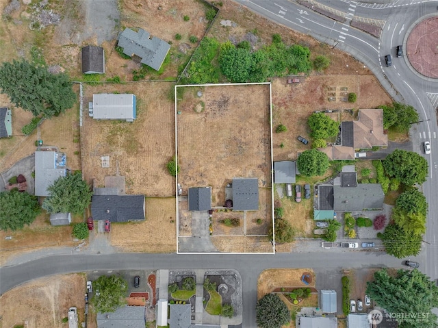 8303 9th Ave SE, Olympia, WA 98513 - photo 9