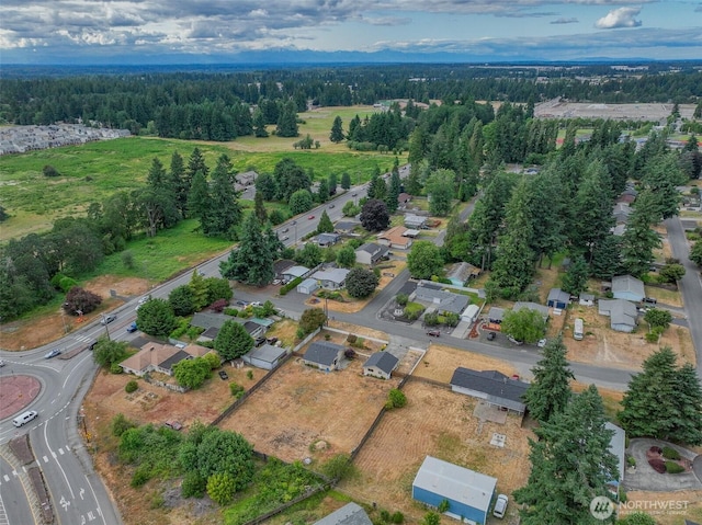 8303 9th Ave SE, Olympia, WA 98513 - photo 12