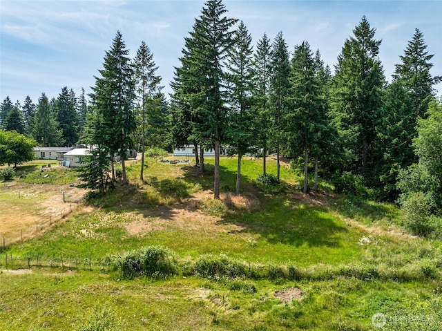 32205 71st Ave S, Roy, WA 98580 - view of yard