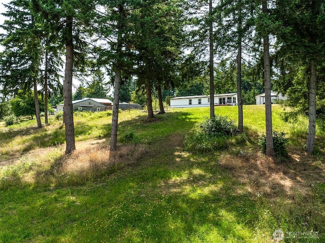 32205 71st Ave S, Roy, WA 98580 - view of yard