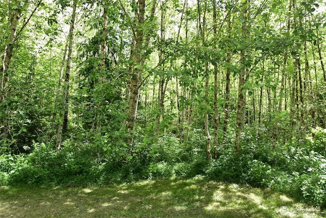 21102 Lake Riley Rd, Arlington, WA 98223