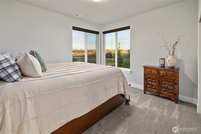 101 Wren Loop SW, Mattawa, WA 99349 - carpeted bedroom featuring baseboards