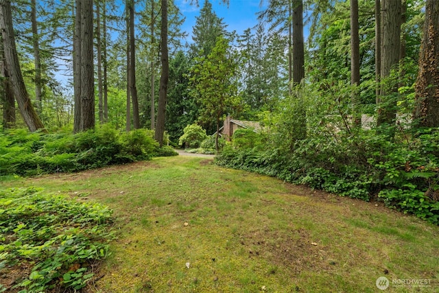 9390 NE Wardwell Rd, Bainbridge Island, WA 98110 - view of green lawn
