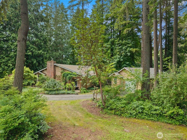 9390 NE Wardwell Rd, Bainbridge Island, WA 98110 - view of yard featuring dirt driveway