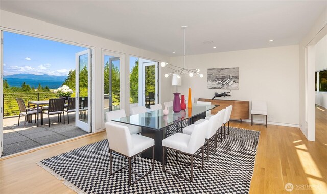 25209 NE 108th St, Redmond, WA 98053 - photo 15