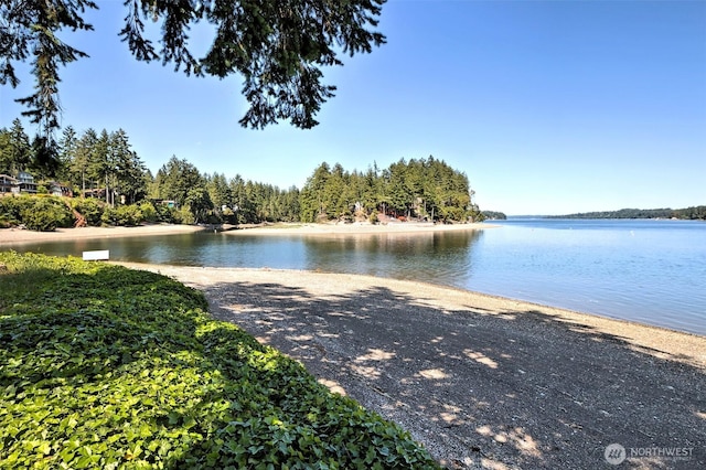 131 E Rustle Way, Grapeview, WA 98546