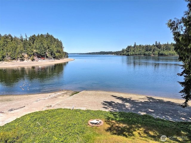 131 E Rustle Way, Grapeview, WA 98546
