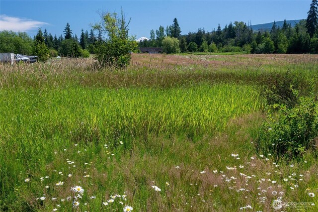 5196 Sand Rd, Bellingham, WA 98226