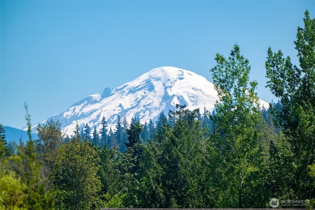 5196 Sand Rd, Bellingham, WA 98226