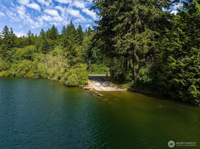 3130 S Bay Vista Dr, Sedro Woolley, WA 98284 - water view with a heavily wooded area