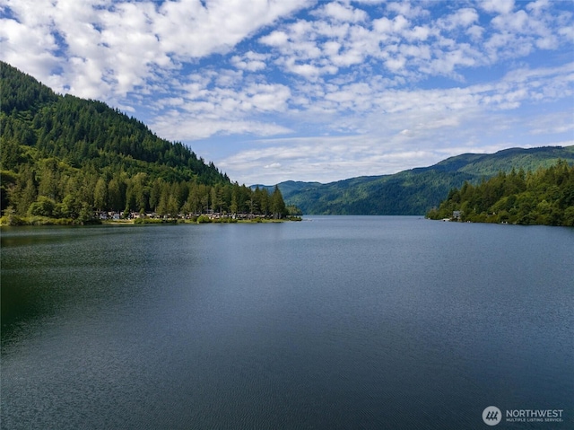 3130 S Bay Vista Dr, Sedro Woolley, WA 98284 - water view featuring a forest and mountains