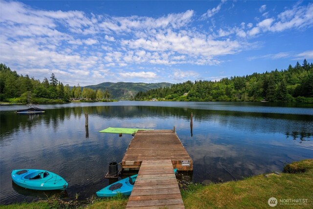 3130 S Bay Vista Dr, Sedro Woolley, WA 98284 - dock featuring a water view and a forest view