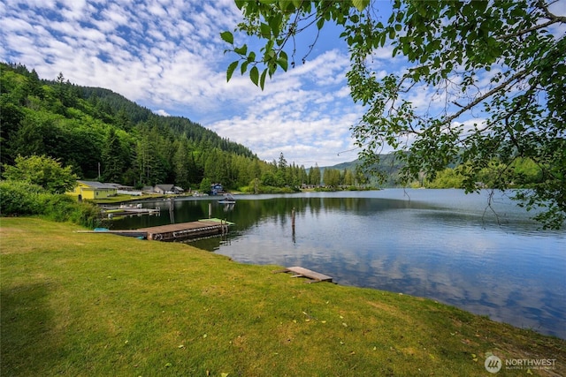 3130 S Bay Vista Dr, Sedro Woolley, WA 98284 - water view with a forest and a boat dock