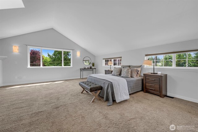 8427 52nd St SE, Snohomish, WA 98290 - photo 18