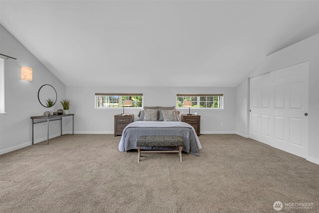 8427 52nd St SE, Snohomish, WA 98290 - photo 19