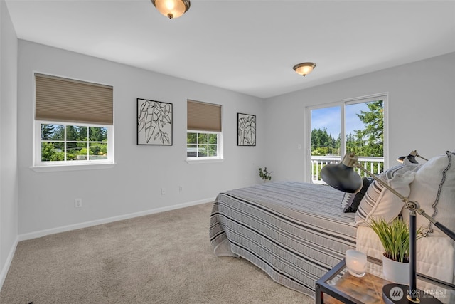 8427 52nd St SE, Snohomish, WA 98290 - photo 25