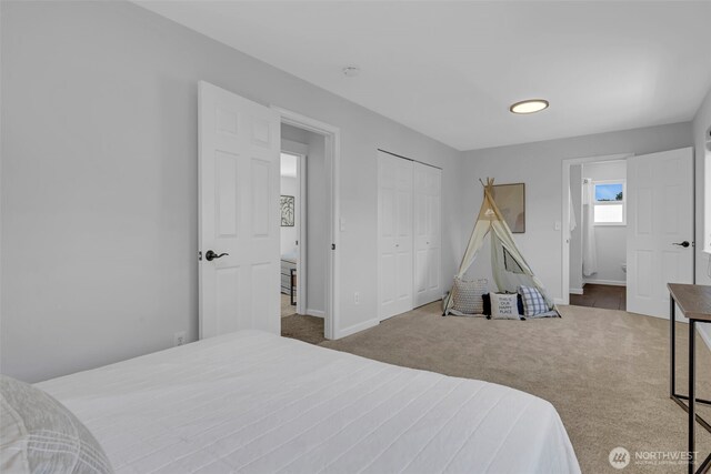 8427 52nd St SE, Snohomish, WA 98290 - photo 33