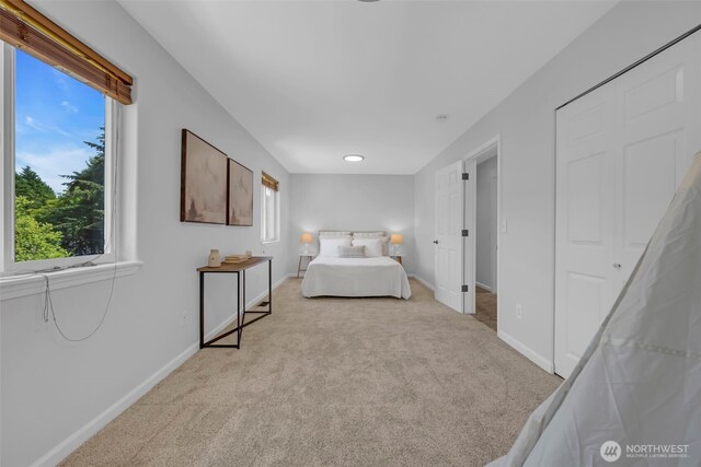 8427 52nd St SE, Snohomish, WA 98290 - photo 32