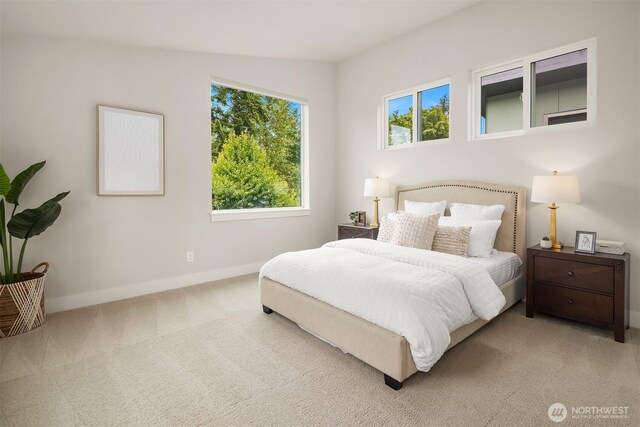 1408 Hinoki Walk NE, Issaquah, WA 98029 - carpeted bedroom featuring baseboards