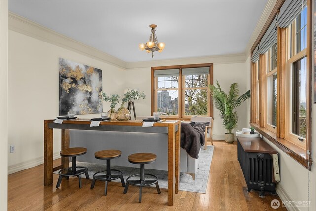 405 Prospect St Unit 201, Seattle, WA 98109 - dining space with radiator heating unit, wood finished floors, crown molding, and a chandelier